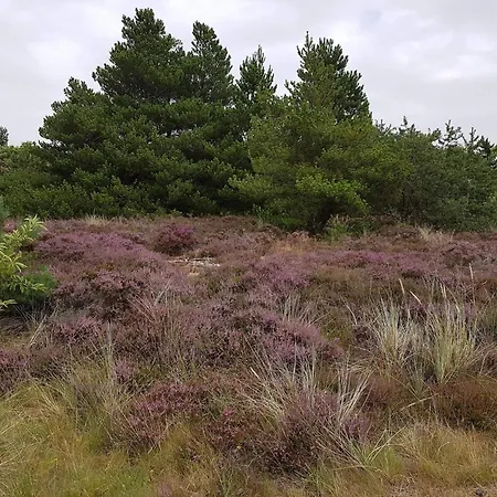 Дом отдыха 6 Person In Romo