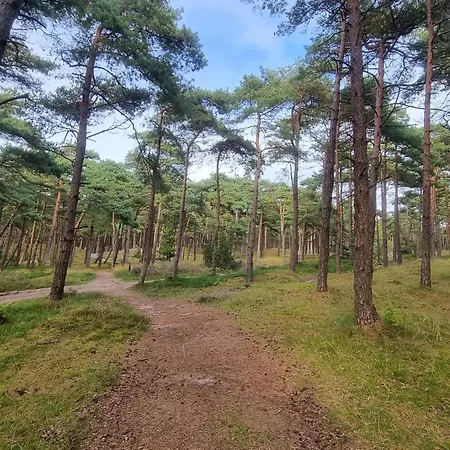 6 Person In Romo Дом отдыха *